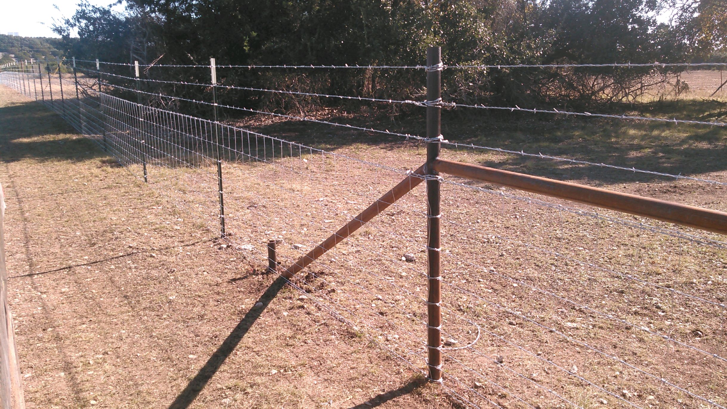 Ranch and Cattle fencing with barbed wire top