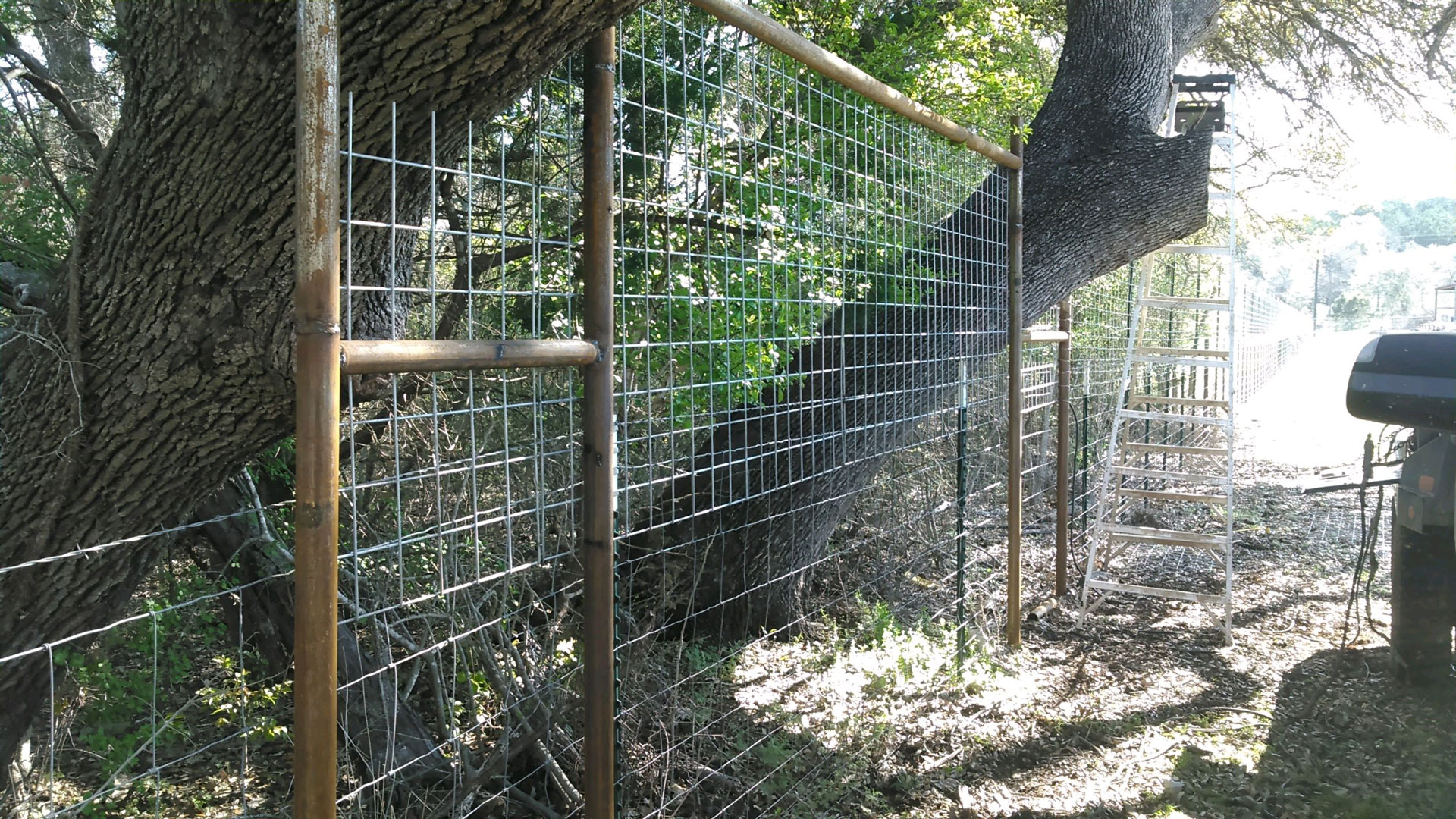 Difficult fencing around and through trees