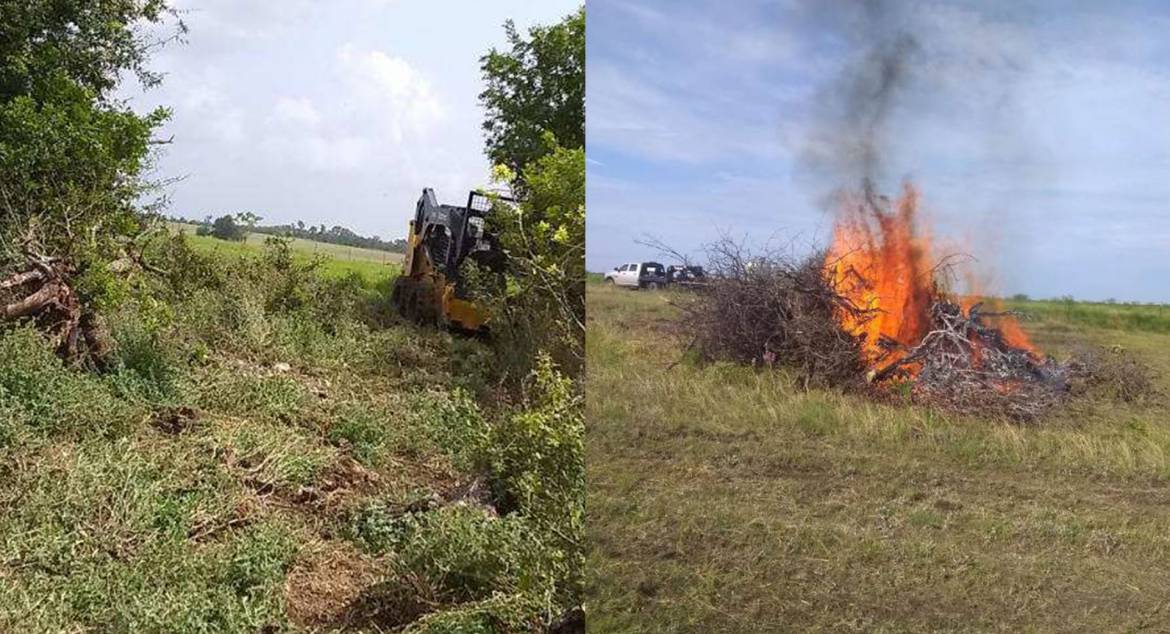 land-clearing-controlled-burning.jpg
